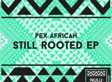 Pex Africah, Mobi Dixon & Songz – Bayeza (Original Mix)