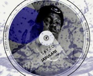 Skyzo – Recover (Original Mix)