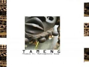 Thamza – Tameng (Dub) Ft. Mahlogonolo Deep