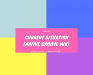 Bongs Da Vick & Kelvin Momo – Current Situation (Native Groove Mix)