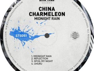 China Charmeleon – Reflection