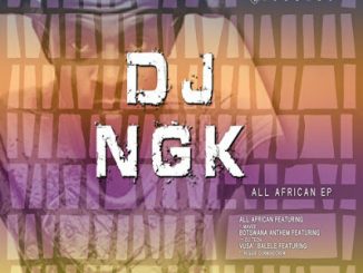 DJ NGK – All African Ft. Mavee (Original Mix)