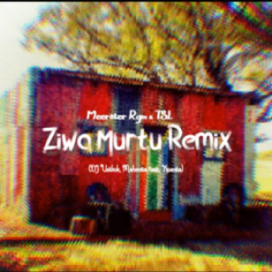 DJ Vetkuk, Mahoota – Ziwa Murtu (Remixed by Meerster Rgm & TSL) Ft. Kwesta