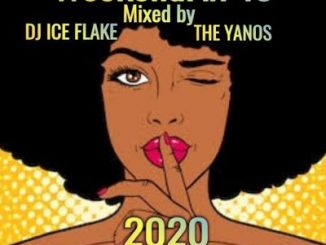 Dj Ice Flake – WeekendFix 43 (The Yanos 2020)