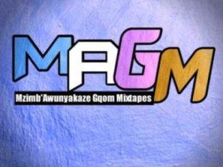 Dlala Chass – Mzimba Awunyakaze Gqom Mix Vol 5