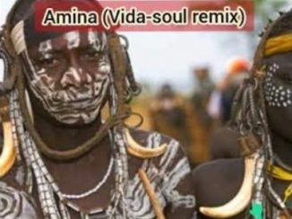 Jaguar Paw – Amina (Vida Soul Remix) Ft. Idd Aziz