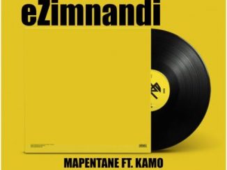 Mapentane & Kamo – Ezimnandi
