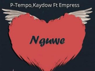 P-Tempo, Kaydow & Empress – Nguwe