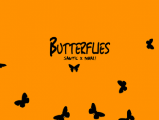 Santic – Butterflies Ft. Mbali