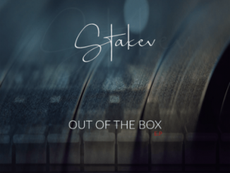 Stakev – Out of the box