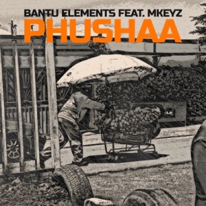 Bantu Elements ft Mkeyz – Pushaa