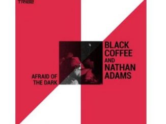 Black Coffee & Nathan Adams – Afraid of the Dark (Oral Deep Mix)