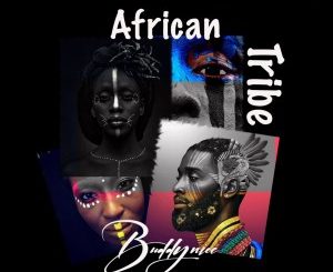 BuddyNice SA – African Tribe (AfroMix)