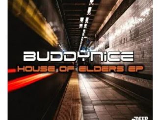 Buddynice – This Shit Again (Redemial Mix)