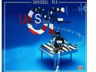 DaviSoul PLK – Like Vigro Deep (Bass Player Mix)
