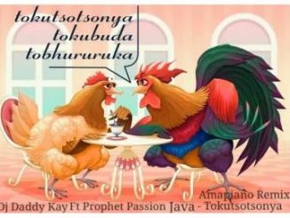 Dj Daddy Kay – Tokutsotsonya Amapiano Ft. Prophet Passion Java