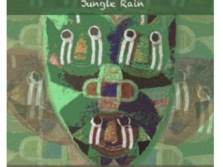 Individualist – Jungle Rain (Zip File)