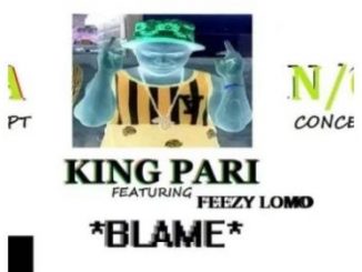 King Pari – Blame (Ft. Feezy Lomo)