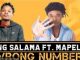 King Salama – Wrong Number ft. Mapele