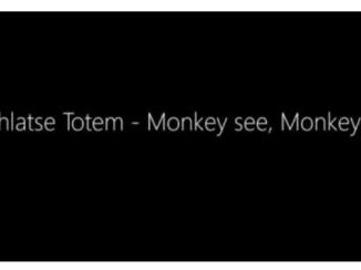 Mahlatse Totem – Monkey see, Monkey do