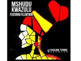 Mshudu – KwaZulu Ft. Felemtwini