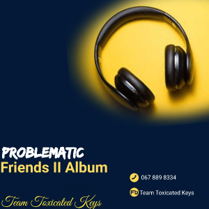 Toxicated Keys – Problematic Friends II