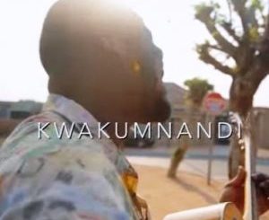 Wandile Mbambeni – Kwakumnandi