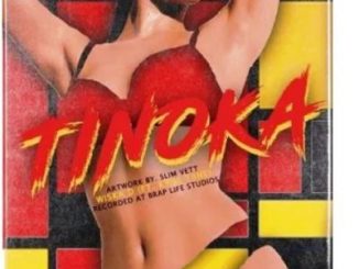 Wiska D & K9NE T9NE – Tinoka [MP3]