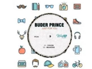 Buder Prince – Reasons Ft. Volans