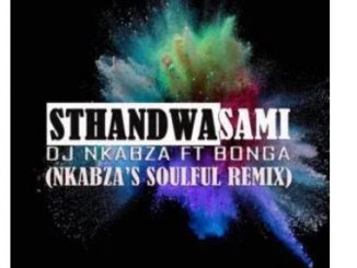 DJ Nkabza – Sthandwa Sami Ft. Bonga (Nkabza’s Soulful Remix)