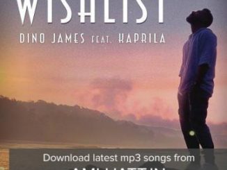 Dino James Ft. Kaprila - Wishlist [MP3]