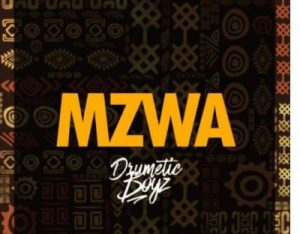 DrumeticBoyz – MZWA