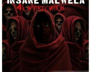 Insane Malwela – 4k Appreciation Mix