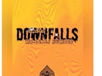 Mr Dlali Number – Limited Downfalls