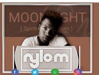 Nylo M – Moonlight (Spiritual Afro Drum)