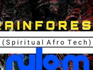 Nylo M – Rainforest (Spiritual Afro Drum)