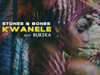 Stones & Bones Ft. Bukeka – Kwanele (Remix)