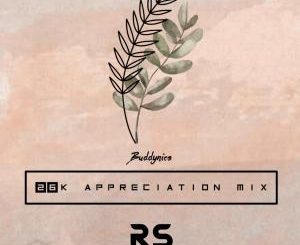 Buddynice – 26K Appreciation Mix (Redemial Sounds)