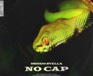 Indigo Stella ft LNLYBOY – No Cap