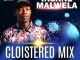Insane Malwela – Cloistered Mix