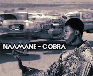 NAAMANE – Cobra