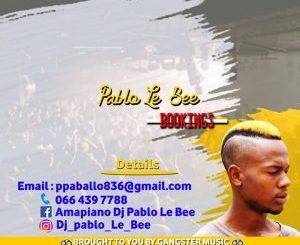 Pablo Le Bee – Nko NKo Nko Thebelebe (Christian BassMachine)