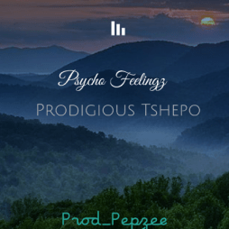 Prodigious Tshepo – Psycho Feelings