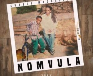 Album: ShabZi Madallion – Nomvula