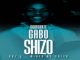 ShizO – Amapiano 2020 Guest Mix GoMonateGaboShizo Vol.5