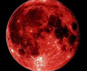 TmokMusiQ – Red Moon