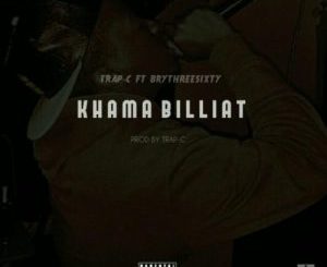 Vigro deep – Willionair Ft. Khama Billiat
