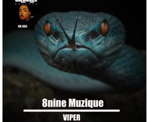 8nine Muzique – Viper