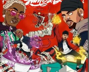 Chris Brown & Young Thug – She Bumped Her Head ft. Gunna