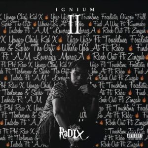 DJ Radix – IGNIUM II